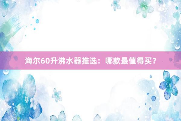 海尔60升沸水器推选：哪款最值得买？